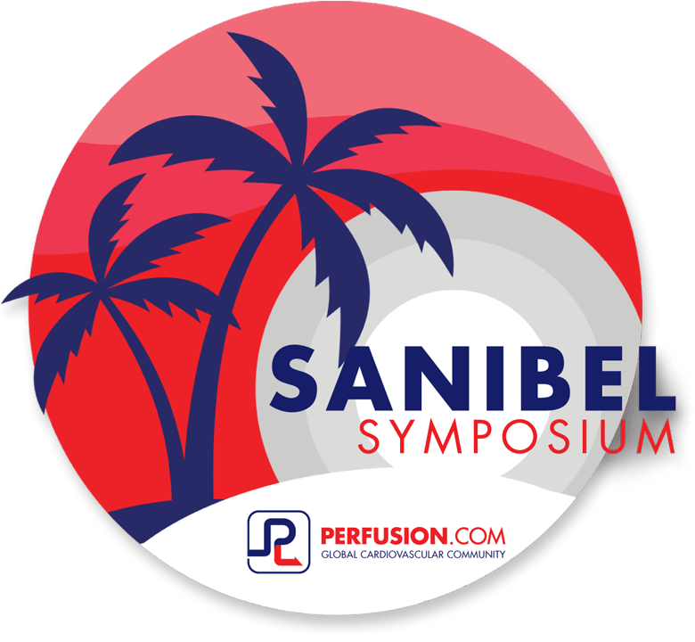 Snnibel Symposium 2023 Logo Shadow