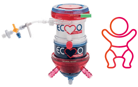 Ecmo newborn