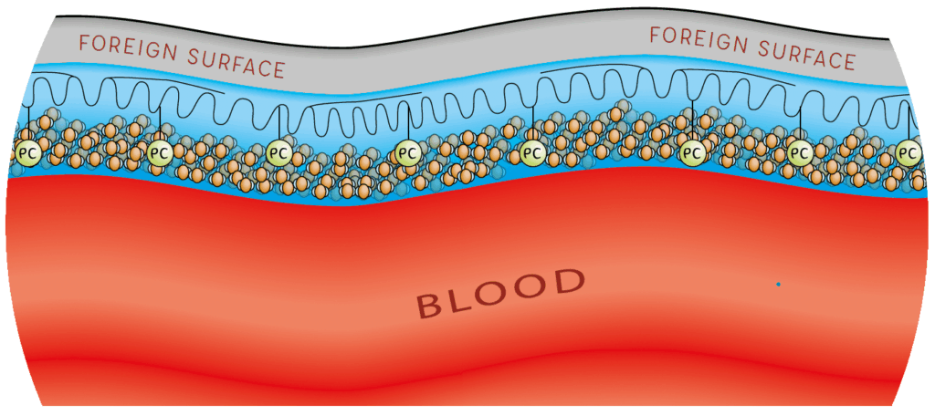 Ecmo oxigenators explain
